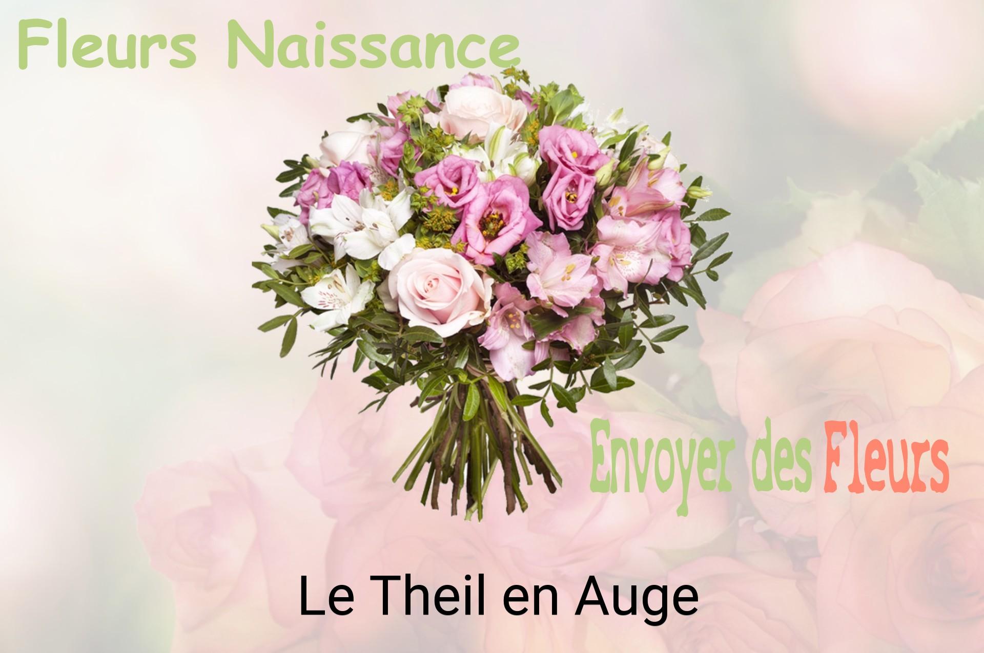 Bouquet de fleurs de naissance livré à Le Theil-en-Auge